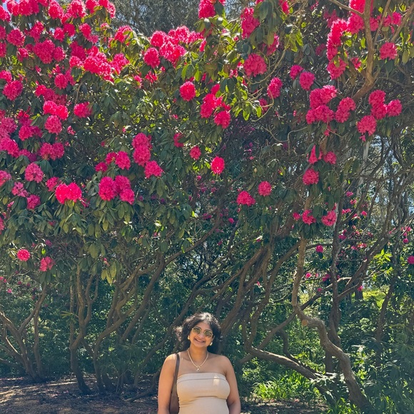 pinkree